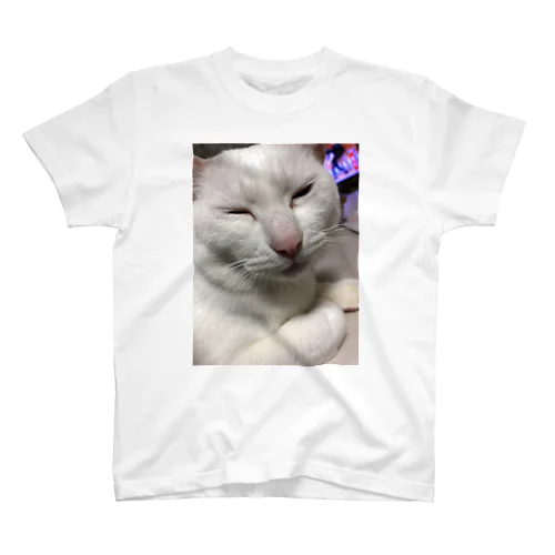 ブサカワねこ Regular Fit T-Shirt