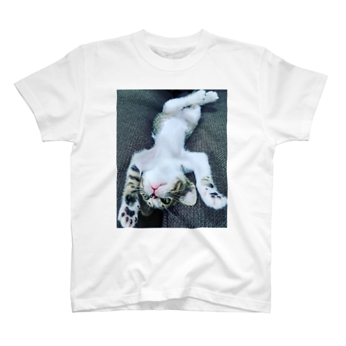 しまずコレクション Regular Fit T-Shirt