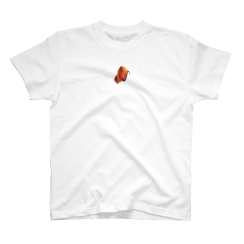 落ち葉拾てん🍁 Ongakus photo goods Regular Fit T-Shirt