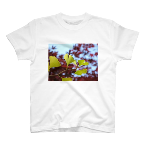 銀杏 Regular Fit T-Shirt