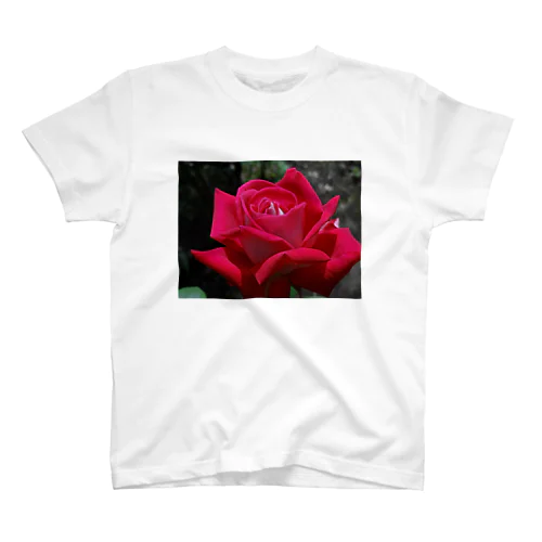 薔薇 スタンダードTシャツ