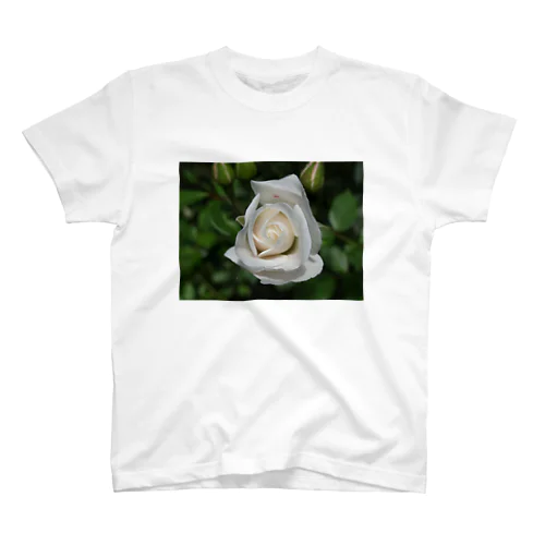 白薔薇 Regular Fit T-Shirt