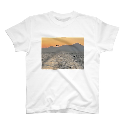 フライング　シーガル Regular Fit T-Shirt
