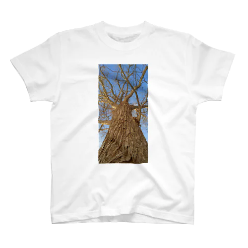 Winter Tree on Blue sky Regular Fit T-Shirt