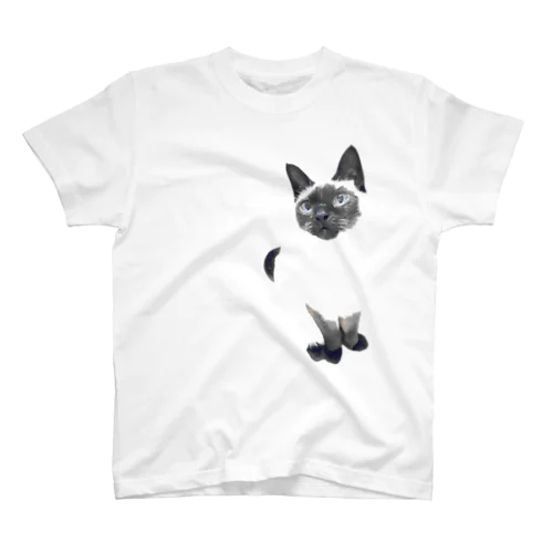 シャム猫風猫のうみイラストタッチ-ボディー透過1 スタンダードTシャツ