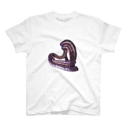 SIKKKK-Curves Regular Fit T-Shirt