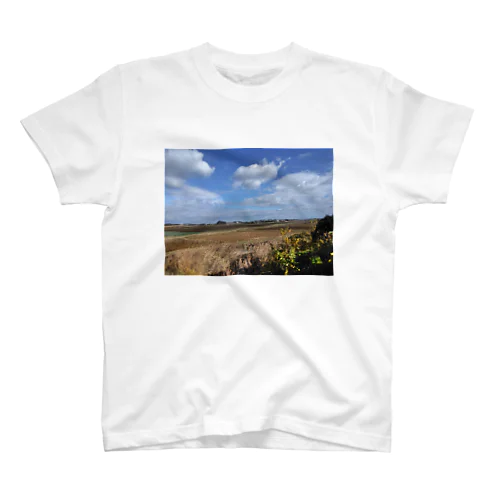 のどかな風景 スタンダードTシャツ