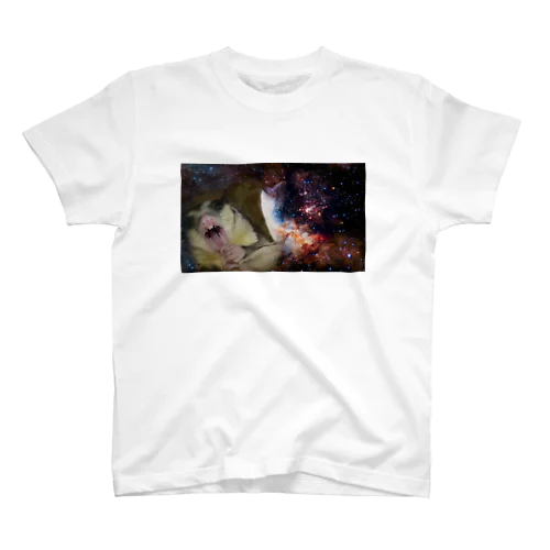 宇宙モモンガ星 Regular Fit T-Shirt