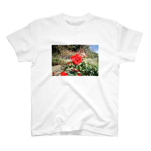 あの日の薔薇 スタンダードTシャツ