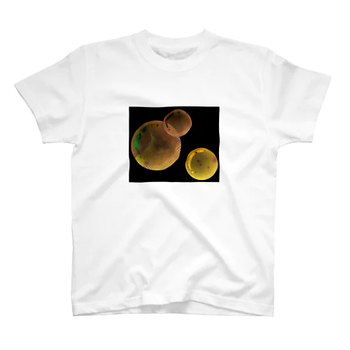 球体 Regular Fit T-Shirt