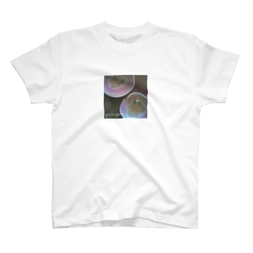 りんご灰釉　輪花鉢柄　Tシャツ Regular Fit T-Shirt