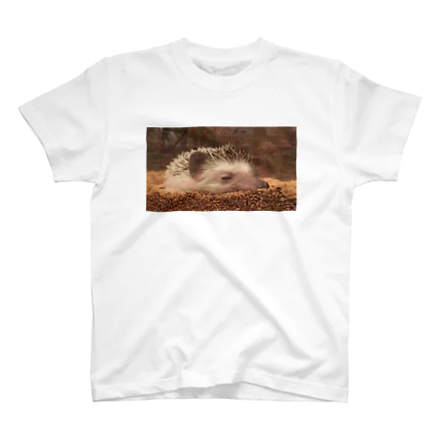 Sleepy Hedgehog Regular Fit T-Shirt