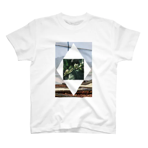 コーヒー農園の持続性 Regular Fit T-Shirt