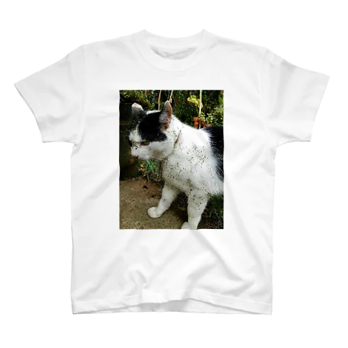うちの猫〜泥棒猫〜 スタンダードTシャツ