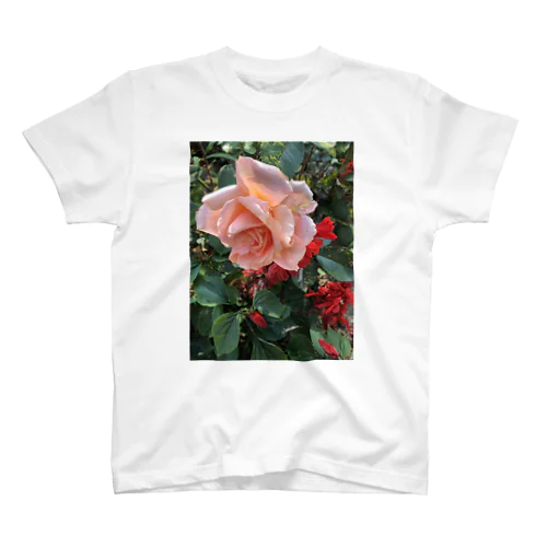 薔薇園 スタンダードTシャツ