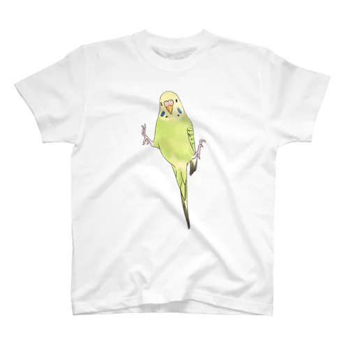 ピタッとセキセイインコちゃん【まめるりはことり】 スタンダードTシャツ