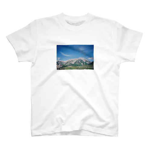 mt.tateyama スタンダードTシャツ