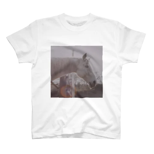 Sun and Horse Regular Fit T-Shirt