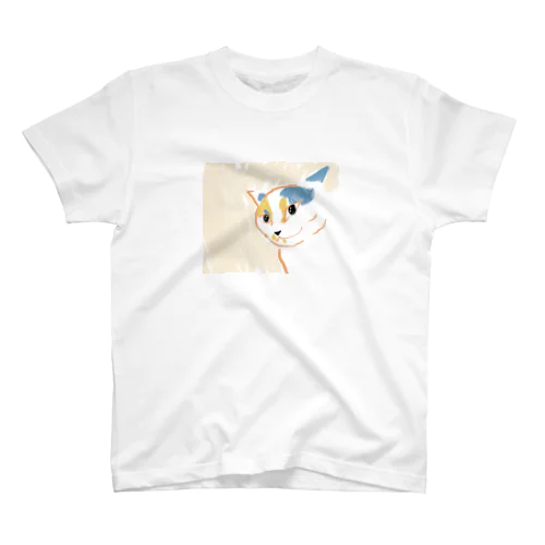 にゃんころもちニャーさん✨ スタンダードTシャツ