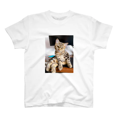 我が家のねこ Regular Fit T-Shirt