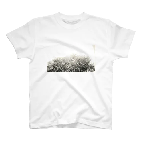 桜 スタンダードTシャツ