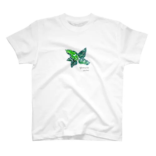 アグラオネマ・ピクタム（Aglaonema pictum） Regular Fit T-Shirt