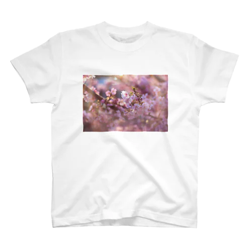 桜② スタンダードTシャツ