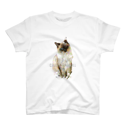 I'm  RAGDOLL Regular Fit T-Shirt