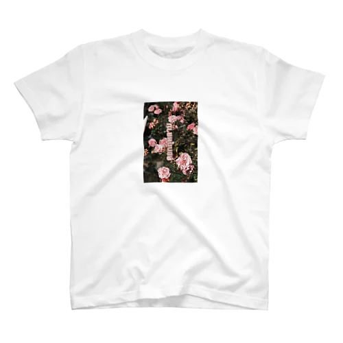 バラの花 スタンダードTシャツ