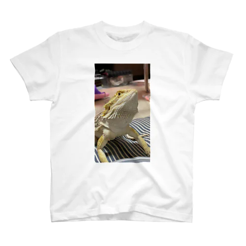 フトアゴヒゲトカゲのパック スタンダードTシャツ