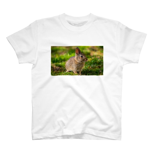 うさぎさん Regular Fit T-Shirt