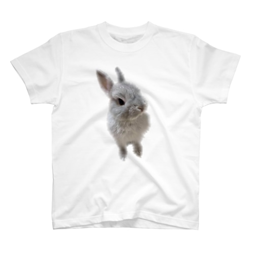 ももちゃんの憂鬱 Regular Fit T-Shirt