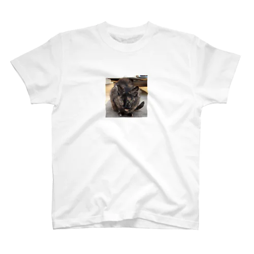 アイアムサビ猫‼️ スタンダードTシャツ