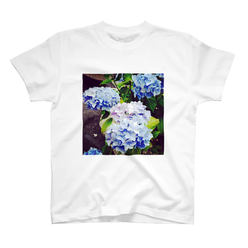 紫陽花。 スタンダードTシャツ