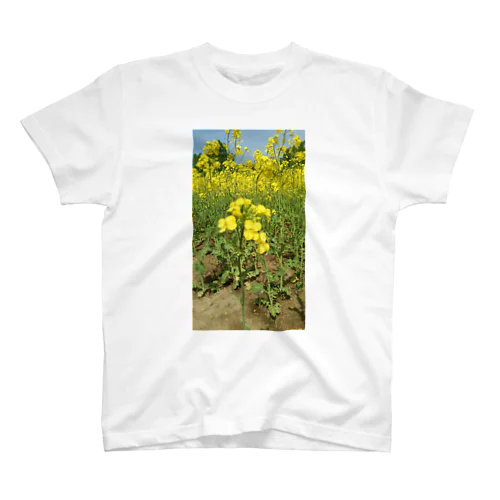 菜の花のんびり スタンダードTシャツ