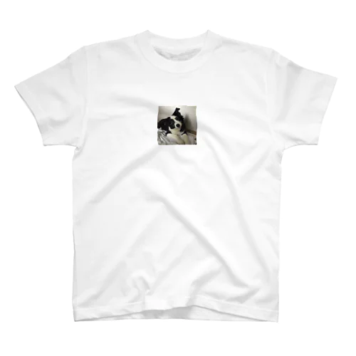 れんちゃん0214 Regular Fit T-Shirt