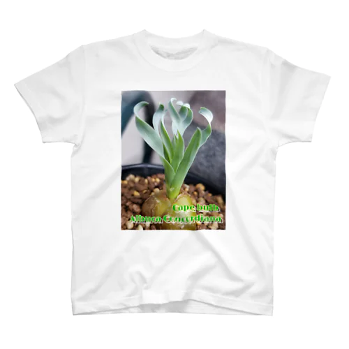 Albuca concordiana アルブカ コンコルディアナ スタンダードTシャツ