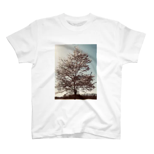 桜と太陽 スタンダードTシャツ