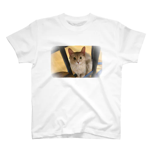 癒し猫 Regular Fit T-Shirt