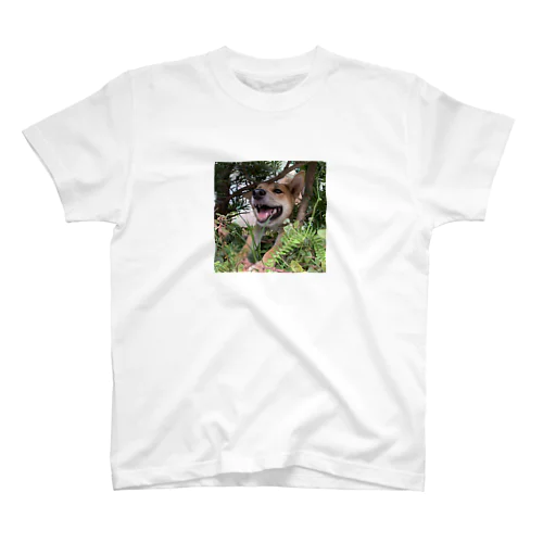 とびだす犬 スタンダードTシャツ