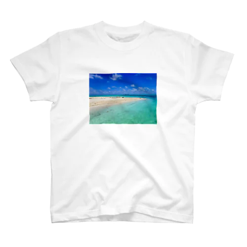 世界の海パラオ　 Regular Fit T-Shirt