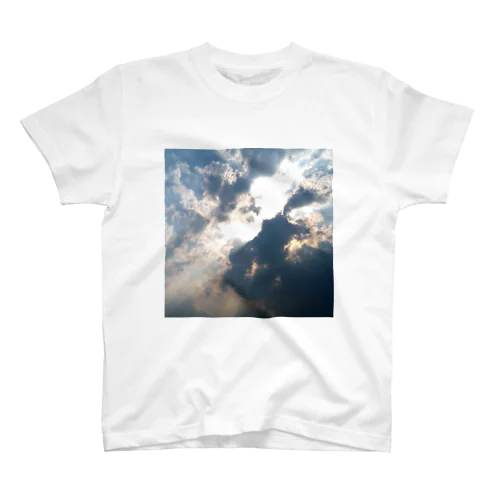 sunshine from the dark Regular Fit T-Shirt