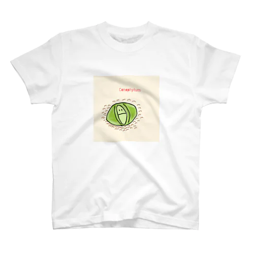 Conophytum Regular Fit T-Shirt