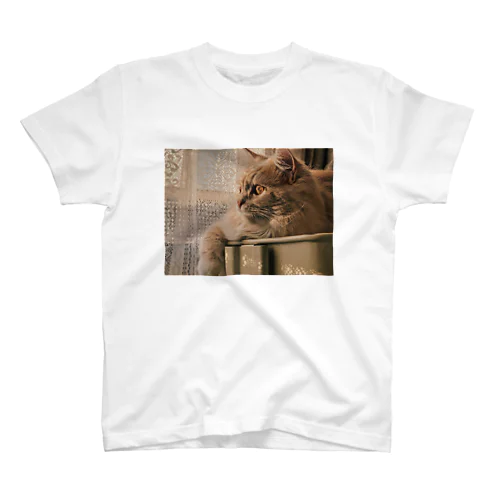 猫の横顔 スタンダードTシャツ
