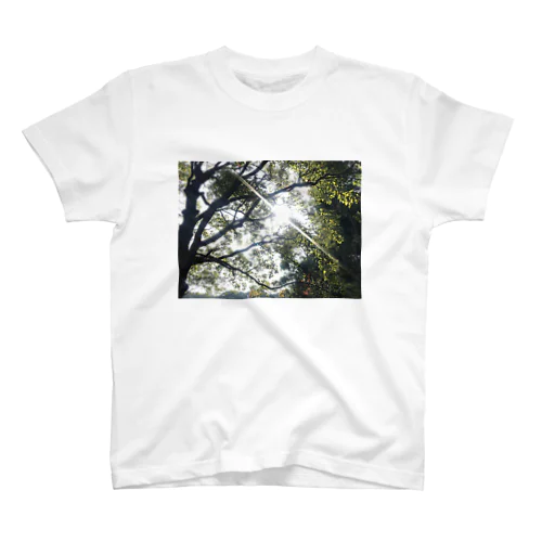 光 Regular Fit T-Shirt