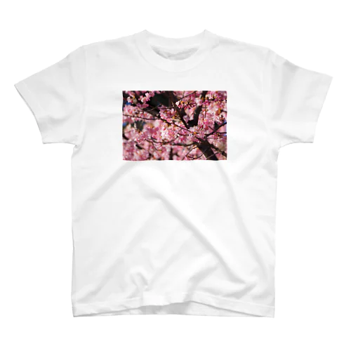 2021年の桜(№2) スタンダードTシャツ
