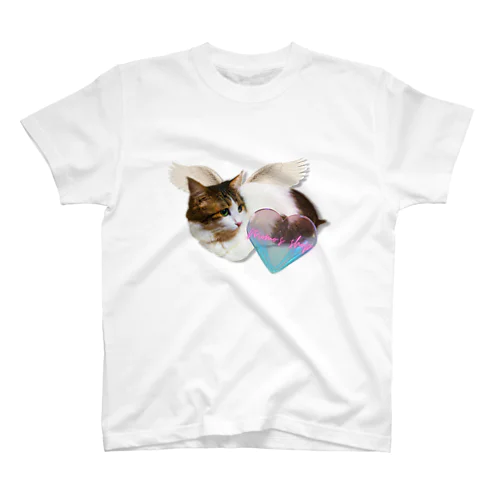 my angel-4 special filter Regular Fit T-Shirt