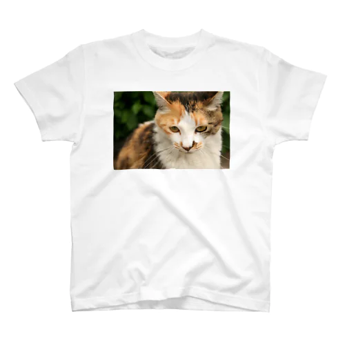 三毛猫 スタンダードTシャツ