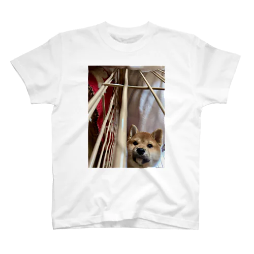 柴犬がのぞき込むとき… Regular Fit T-Shirt