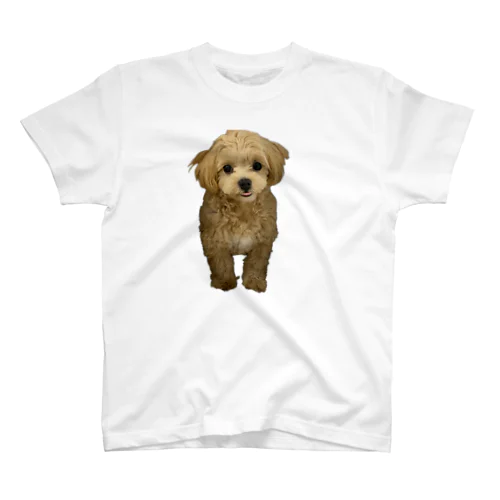 愛犬のちゃい Regular Fit T-Shirt